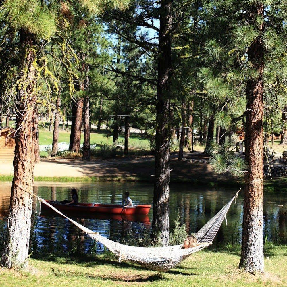 Chalet View Lodge Portola المظهر الخارجي الصورة